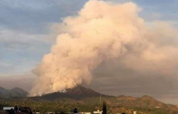 Devastadas 3 mil hectáreas de bosque por incendios este 2020