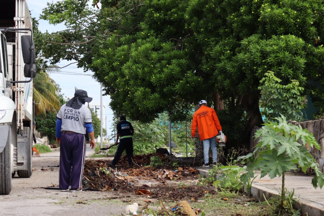 Recolectan más de 16 toneladas de basura en Chicxulub Puerto Noticias