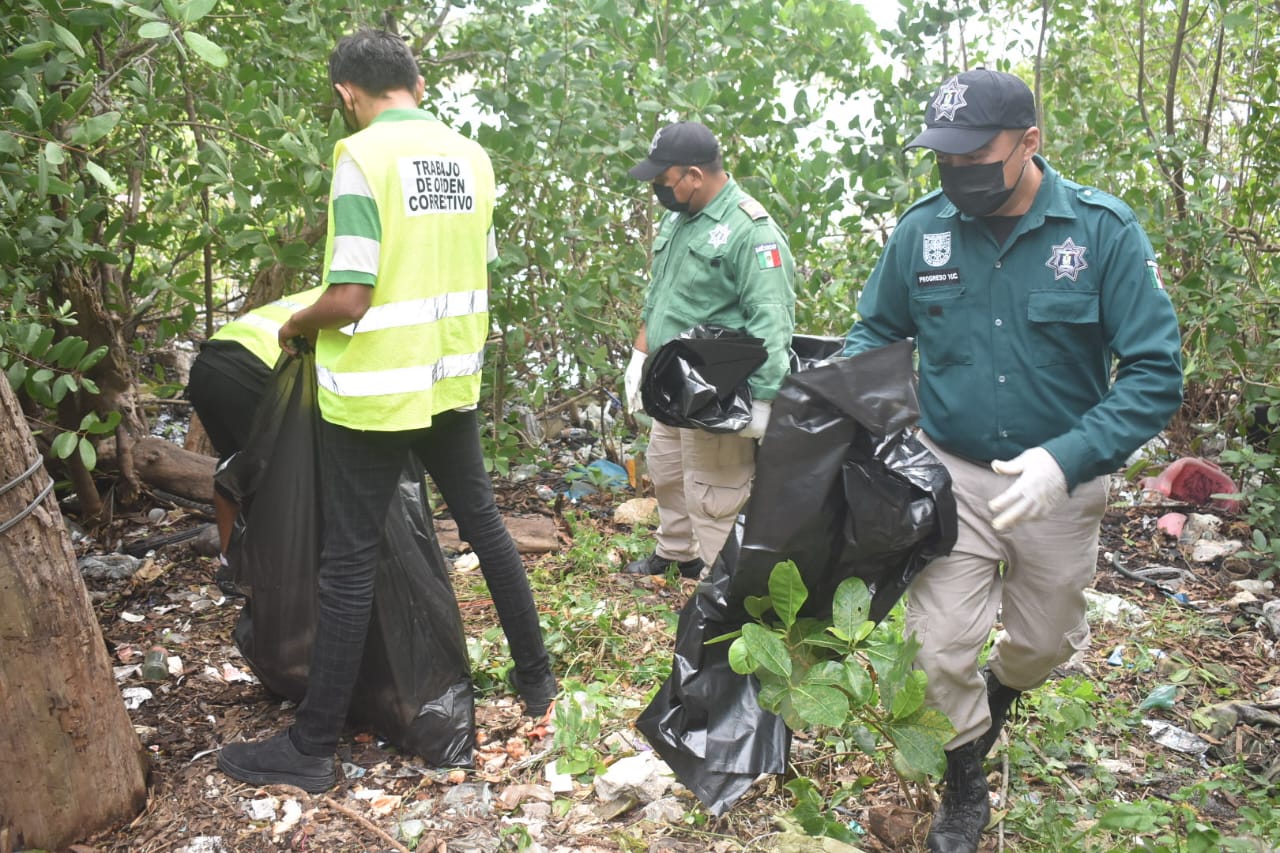 Chalecos Correctivos Recolectan De Una Tonelada De Basura En Progreso