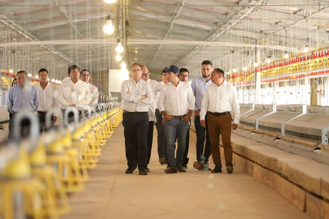 Inauguran granjas de Bachoco en Peto Noticias de Yucatán