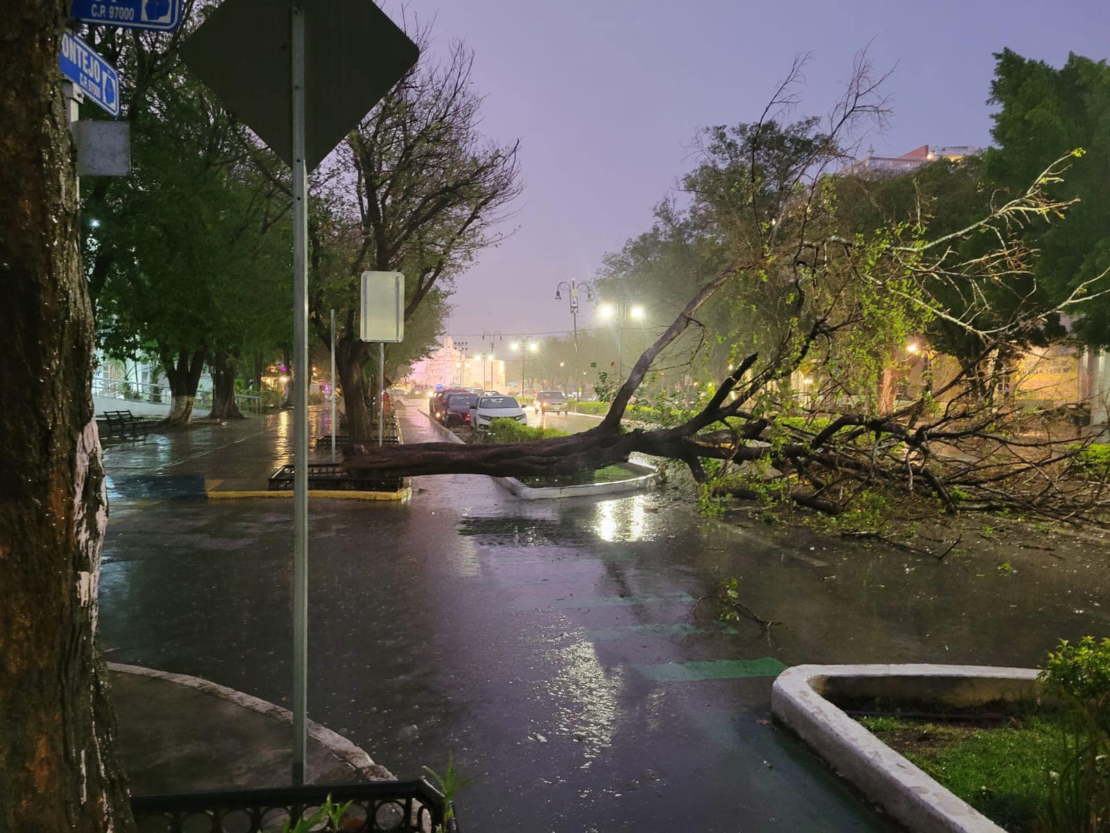 Una Casa Inundada Y Rboles Ca Dos El Saldo De Las Lluvias En M Rida