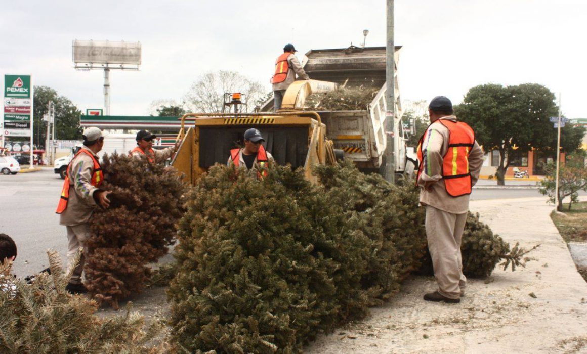 pino arbolito navidad arbol