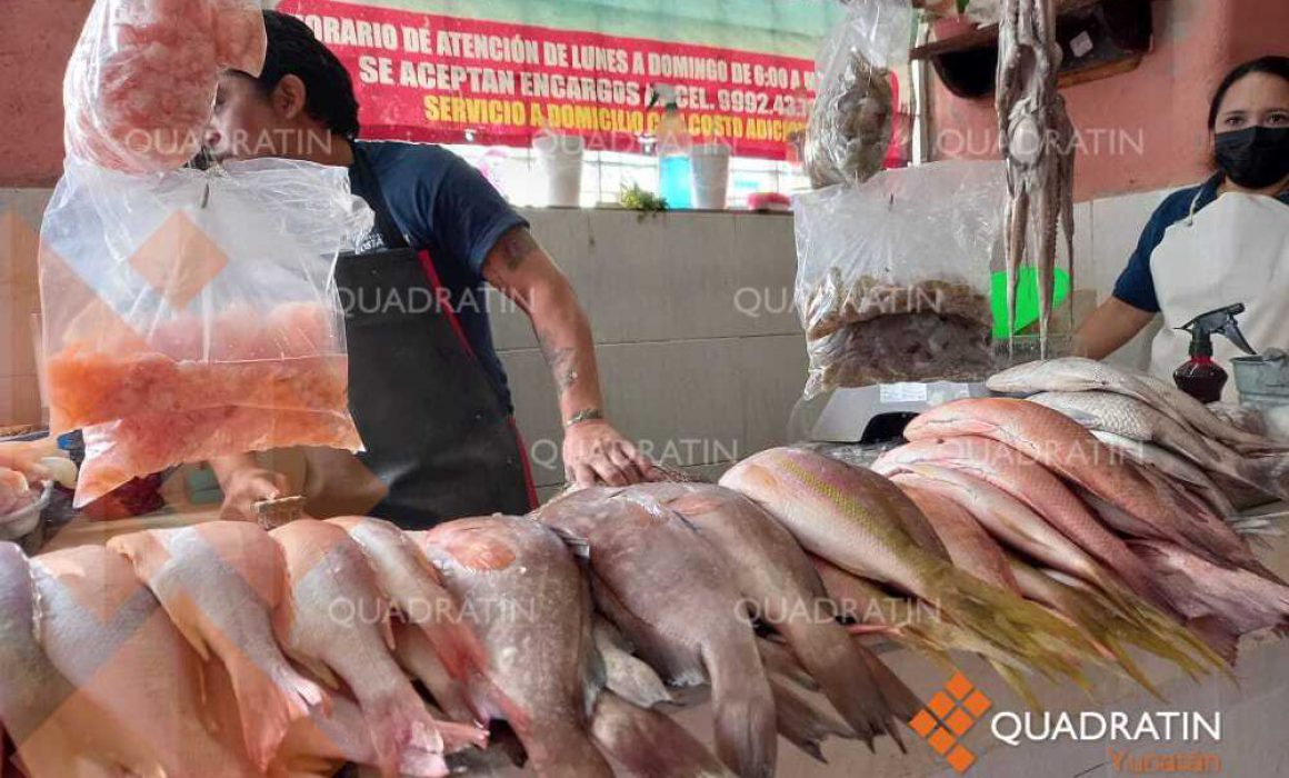 Confían en mejorar ventas comerciantes de pescados y mariscos - Noticias de  Yucatán