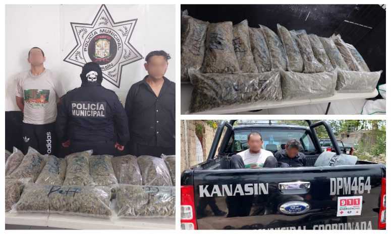 Detienen a 2 sujetos con 14 kilos de cannabis en Kanasín