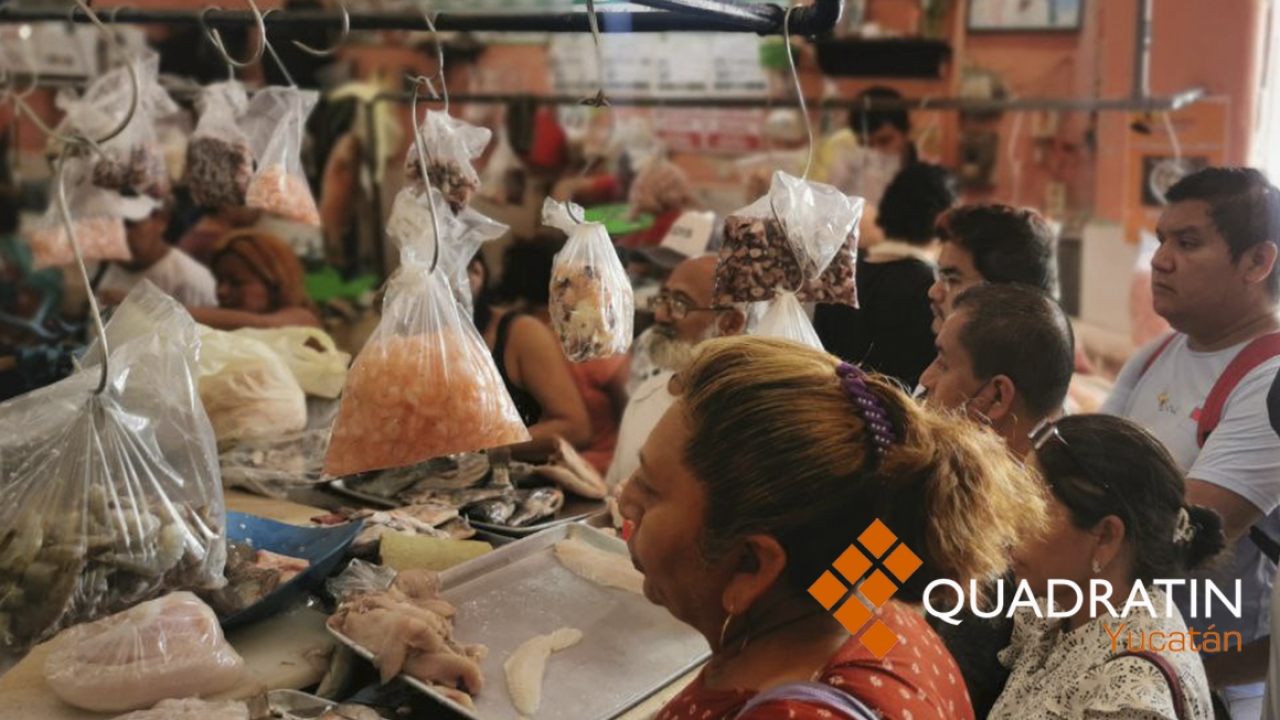 Registran buena venta de pescados y mariscos en el Lucas de Gálvez -  Noticias de Yucatán