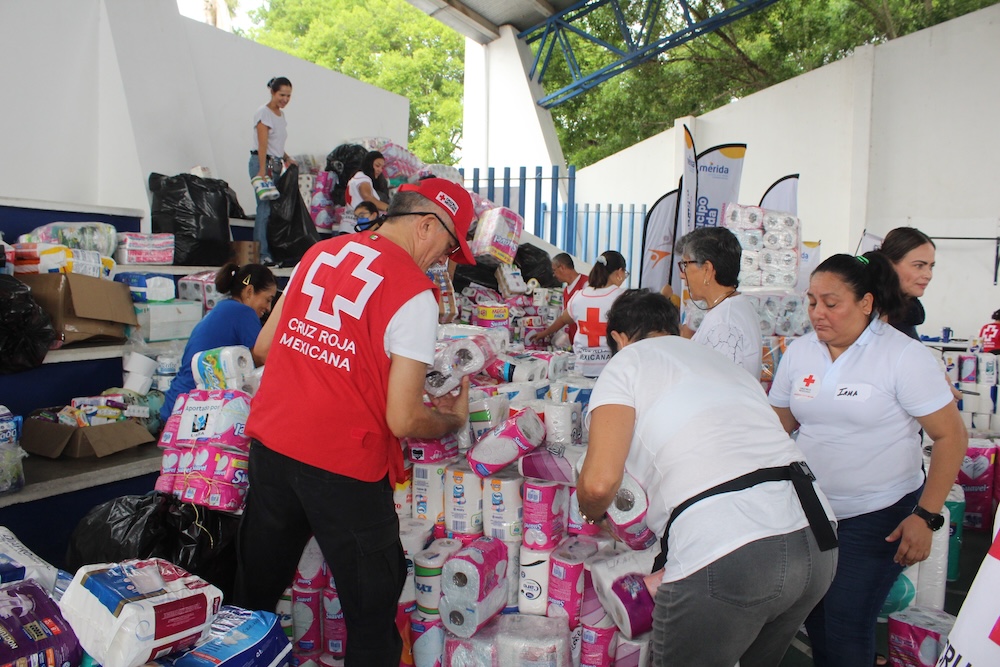 Envía Cruz Roja más de 11 toneladas de ayuda humanitaria a Guerrero ...