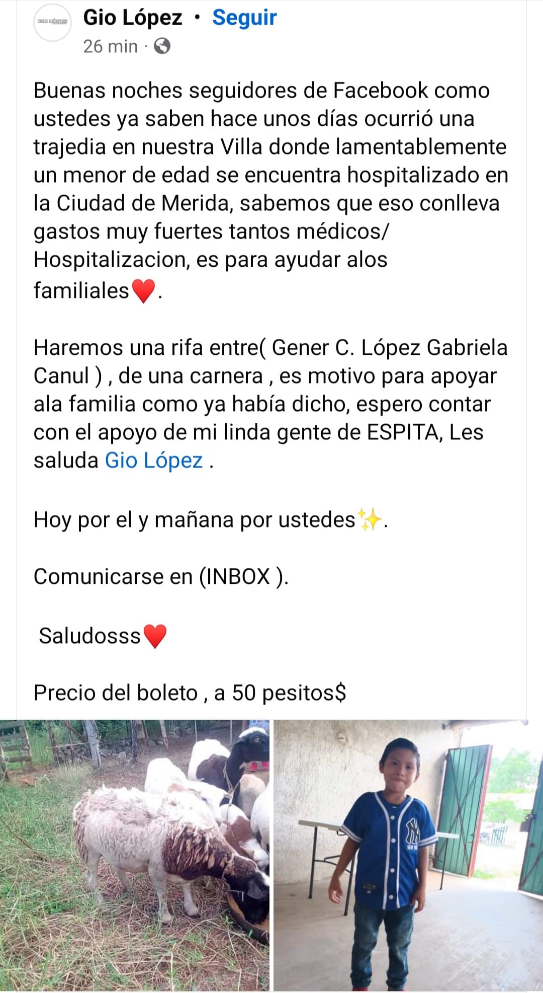 Piden ayuda para Yadier, niño agredido con machete en Espita - Noticias de  Yucatán