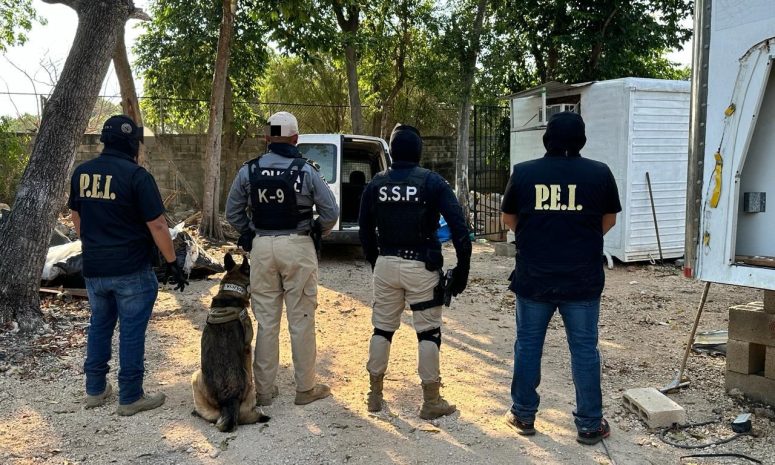 Aseguran más de 300 kilos de drogas y detienen a 2 tras cateos en Mérida
