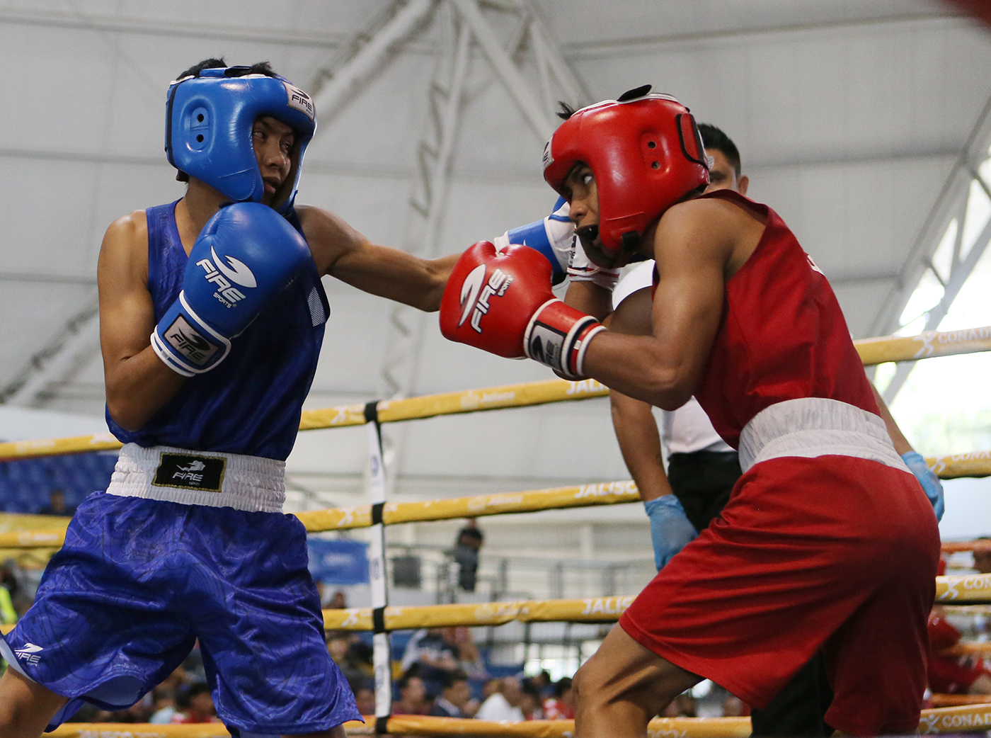 Se lleva Yucatán 2 medallas de oro en boxeo amateur de Nacionales ...