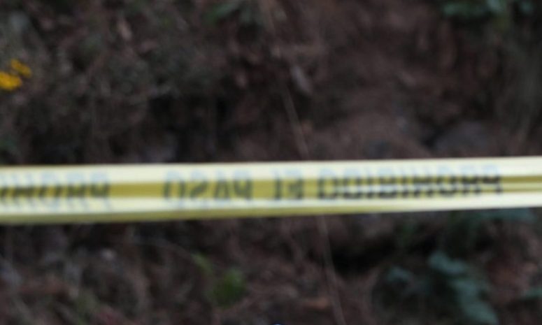 Investigan fallecimiento de joven en el puerto de Sisal