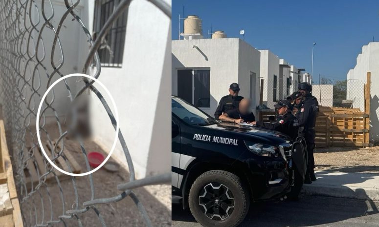 Reportan otro caso de maltrato animal en Kanasín