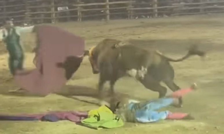 Embiste toro a torero en corrida informal en Cholul