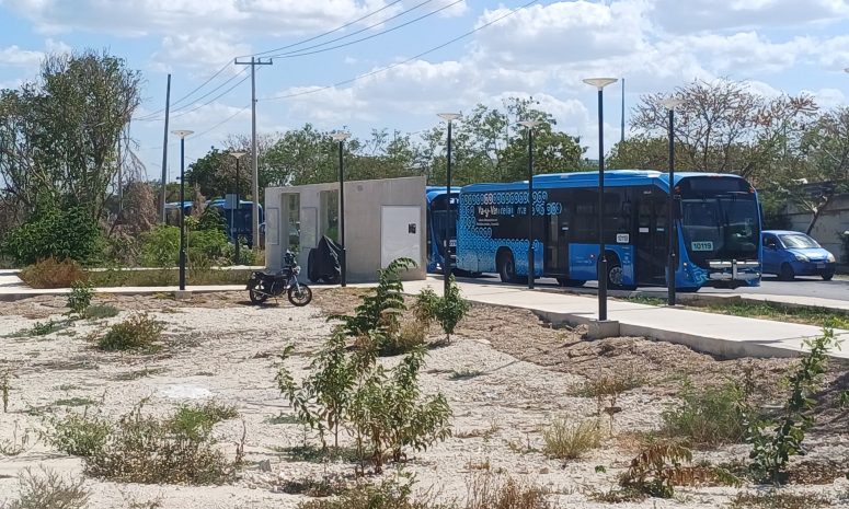 Dialoga la ATY con directivos para restablecer servicio de Va y ven
