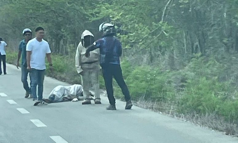 Termina atropellado apicultor al huir de ataque de abejas en Buctzotz