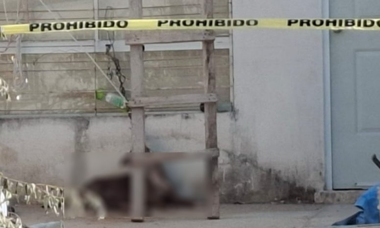 Investigan muerte de lomito en Ciudad Caucel