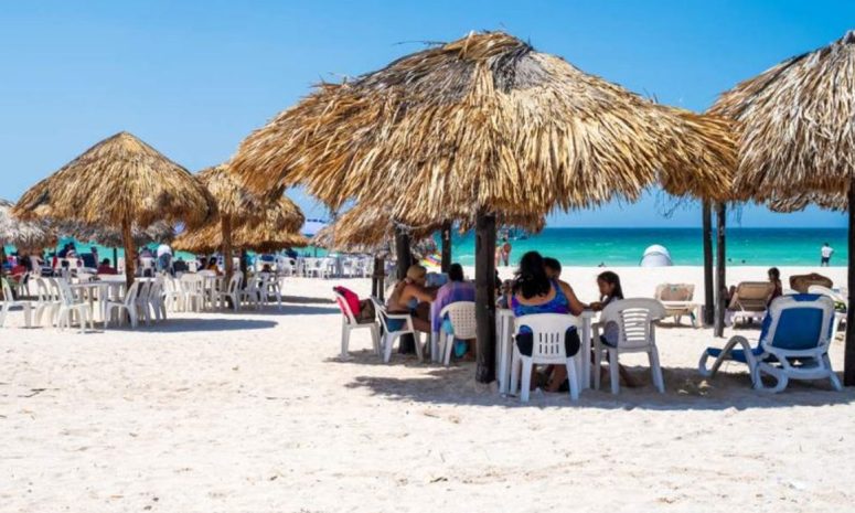 Llaman a evitar desinformación sobre presencia de algas nocivas en la costa