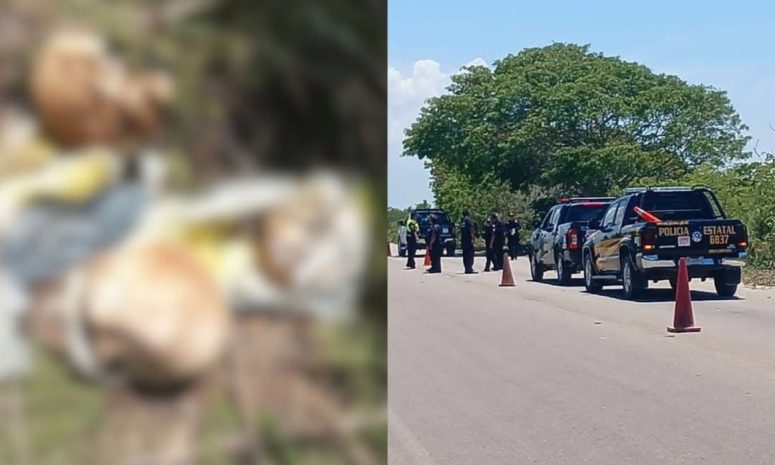 Encuentran cráneos humanos en la vía Telchac Puerto-Progreso