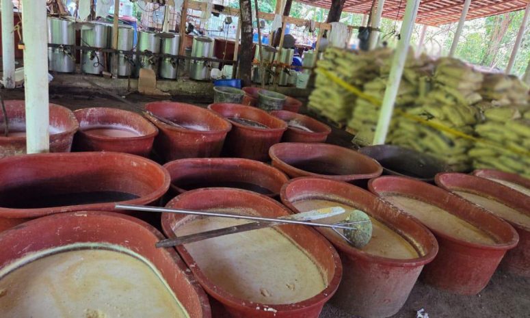 Aseguran 2.5 toneladas de metanfetamina en Chiapas