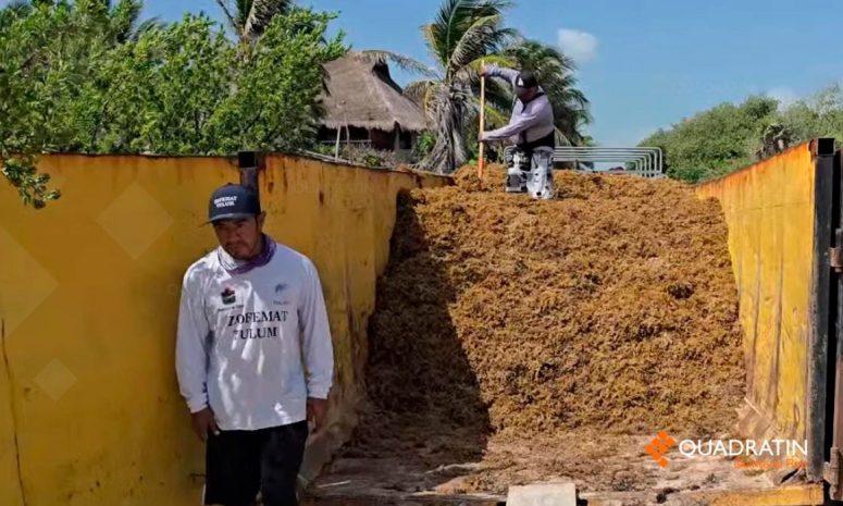 Ofrecen empleo temporal para limpieza de playas en Tulum