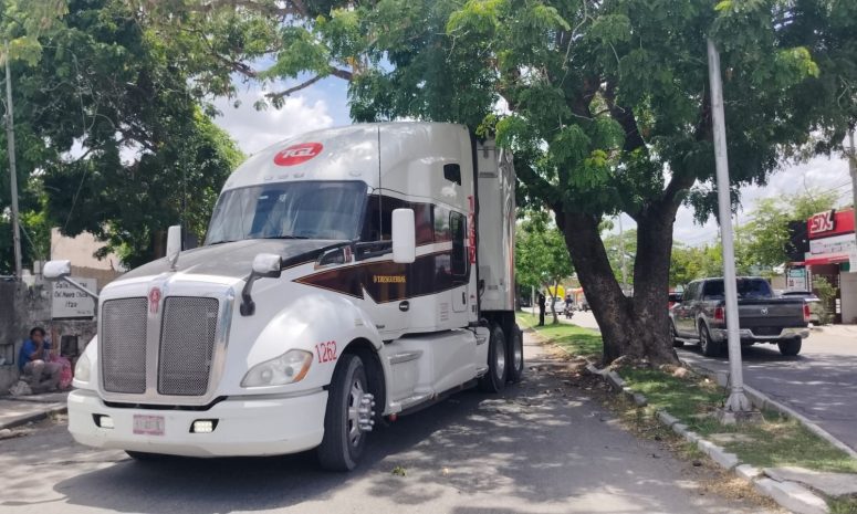 Tráiler queda atorado tras colisionar con rama de árbol en la Fidel Velázquez