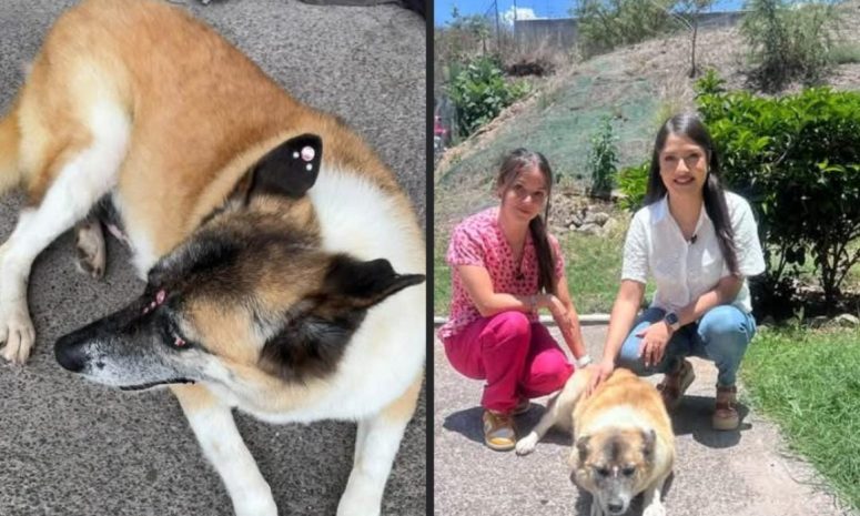 Hoy descansas, pero seguimos en pie de lucha: abogada de Lobita