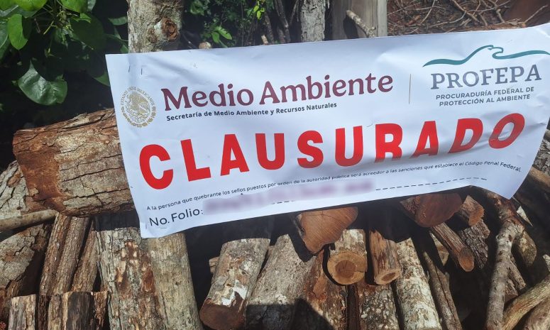 Clausura Profepa terrenos forestales en ejidos de Campeche
