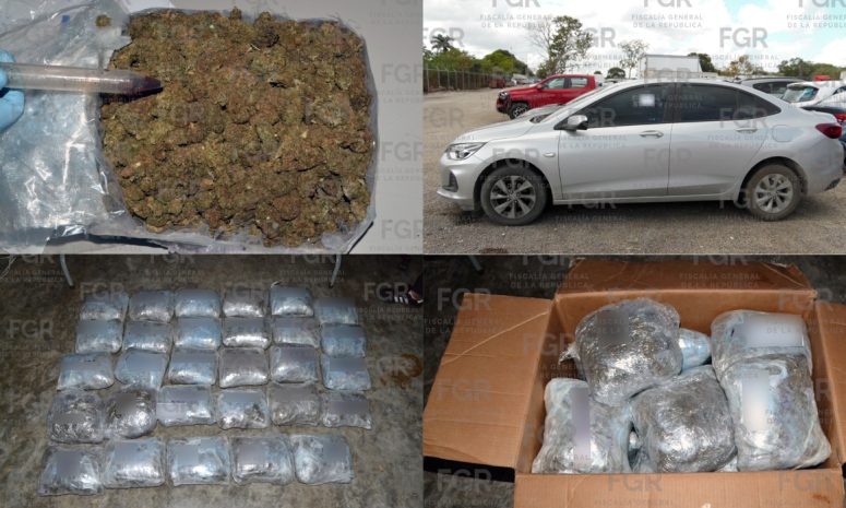 Permanecerá 10 meses en prisión sujeto atrapado con marihuana en Halachó